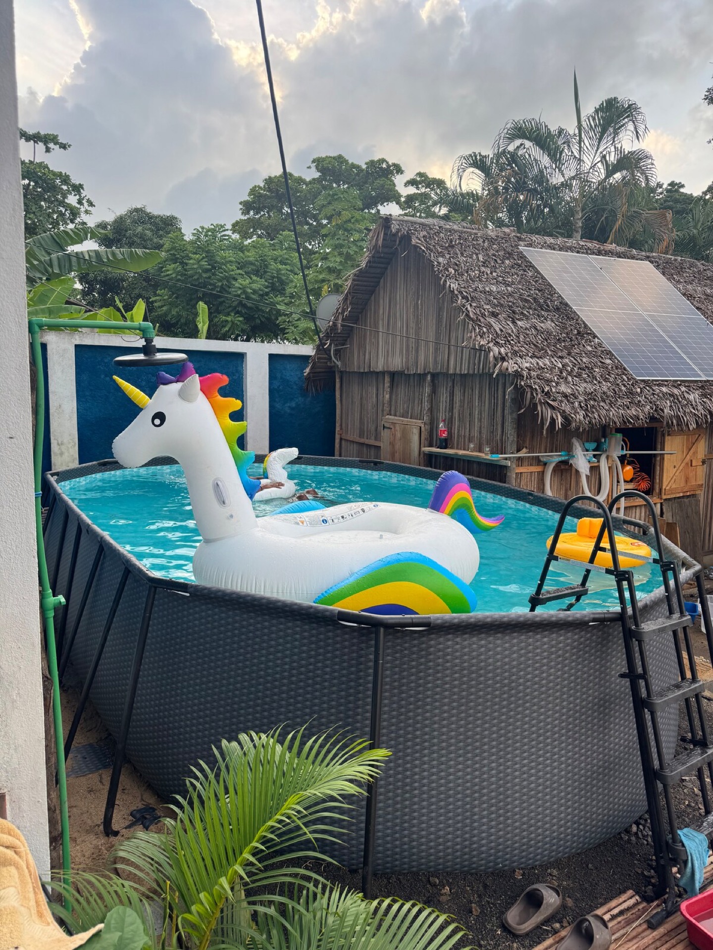 Piscine privee de la maison Chez Falisoa